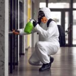 Mold Remediation in New York City