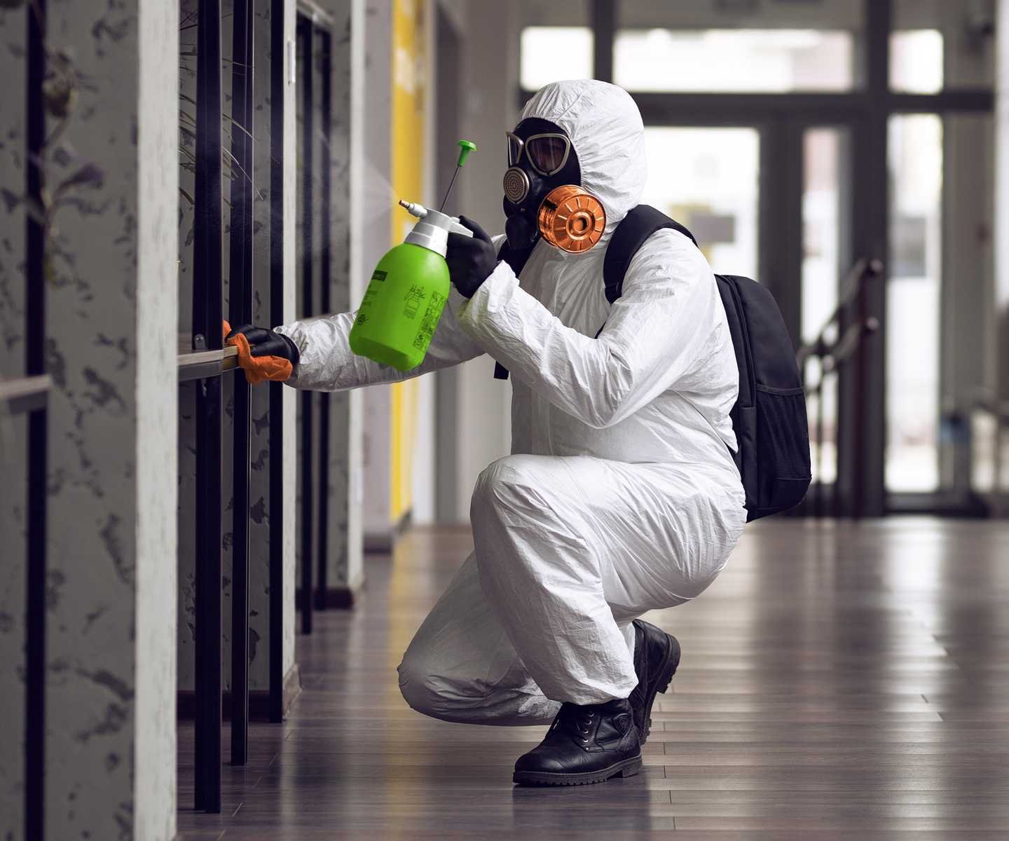 Mold Remediation in New York City