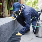 Pest control companies in usa
