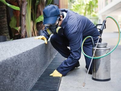 Pest control companies in usa