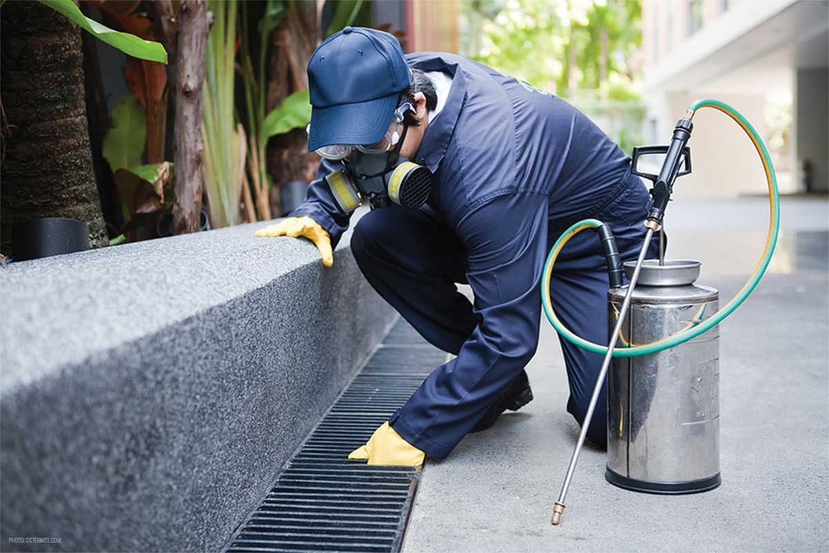 Pest control companies in usa