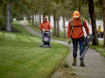 landscapers in new york city