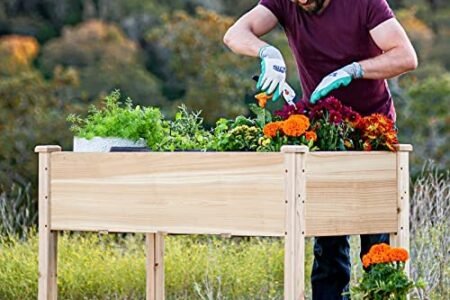 Raised Garden Bed