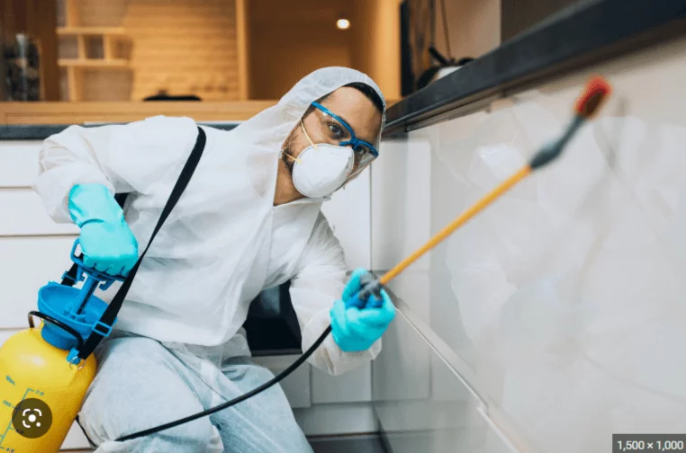 Pest Control Los Angeles