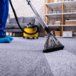 Carpet Cleaner rental