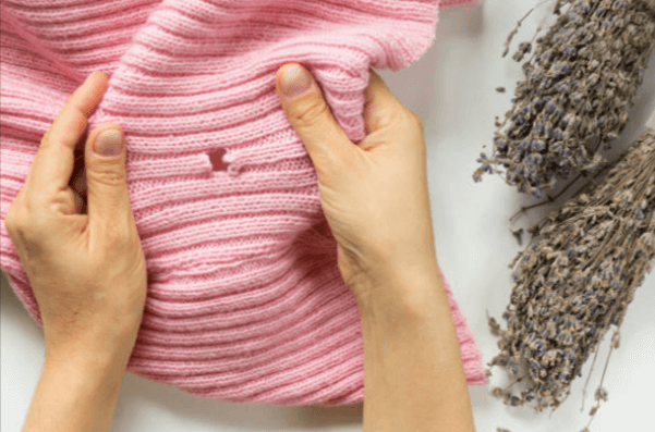 How to Get Rid of Clothes Moths: Natural and Chemical Solutions