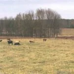 Mississippi Land for Sale