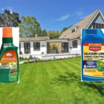 Best Crabgrass Killer