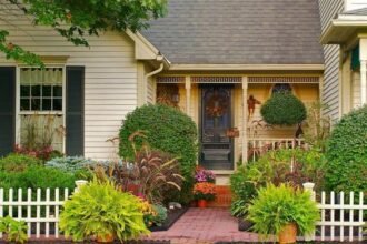 Front Door Plants