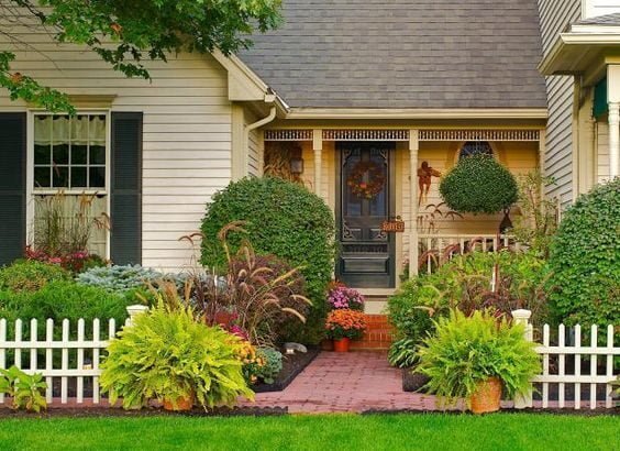 Front Door Plants