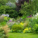 Green Lawn