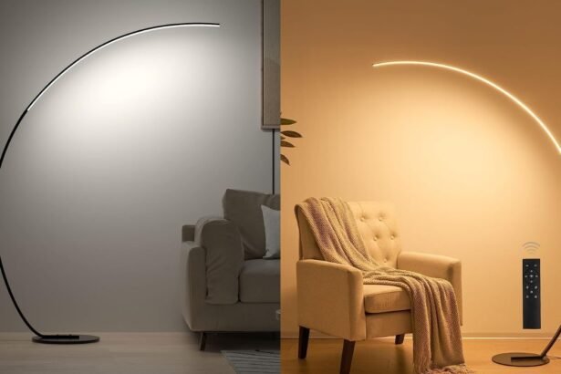 Best Arch Floor Lamp