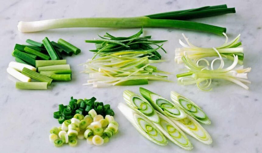 Best Vegetable Chopper To Buy