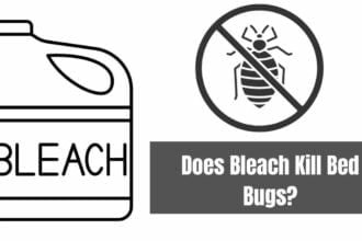 Does Bleach Kill Bed Bugs