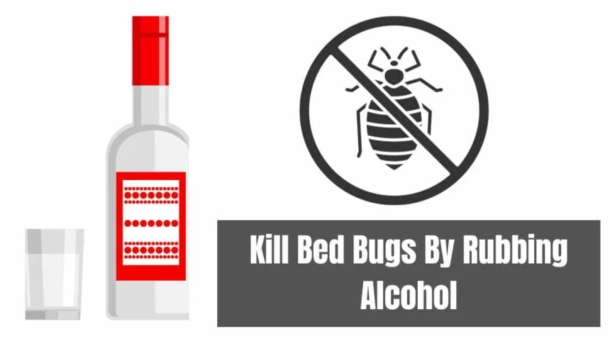 Kill Bed Bugs By Rubbing Alcohol