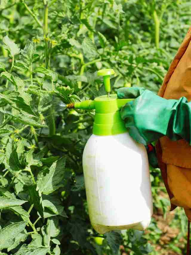 Does insect killing soap work?