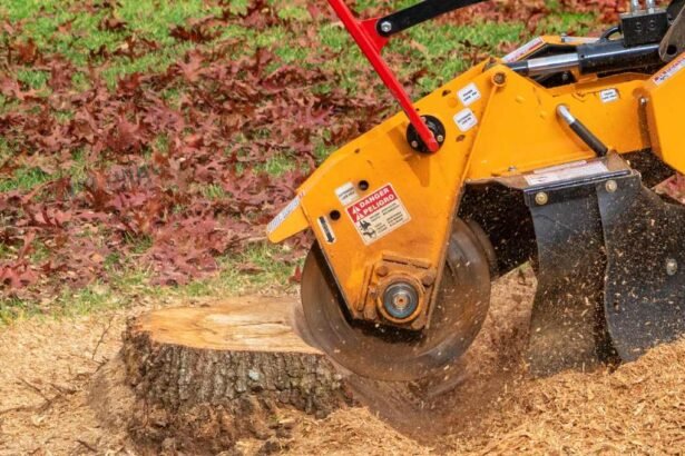 Stump Grinder Rental Guide