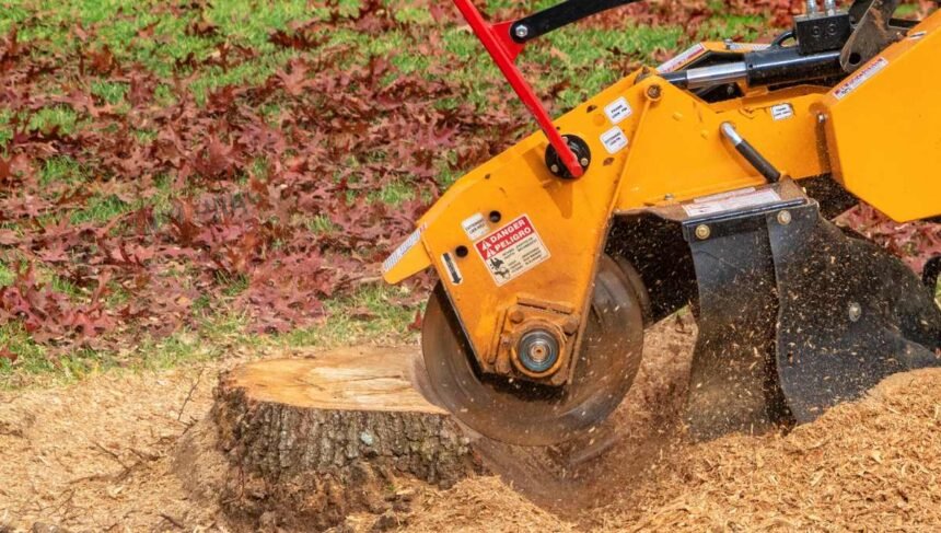 Stump Grinder Rental Guide