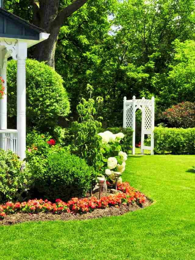 This is how you should take care of your lawn on Sunday