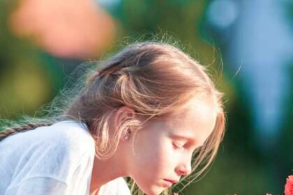 This is the best way to care your rose plant