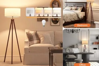 Upgrade Your Home Decor with This Elegant & Practical Floor Lamp