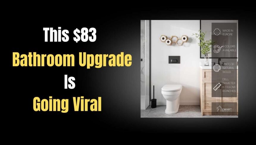 Bathroom Looking Boring This $83 Find Will Instantly Change That