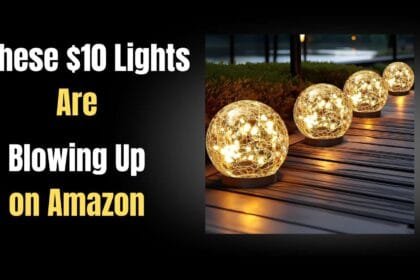 This $10 Outdoor Light Set Will Instantly Transform Your Backyard