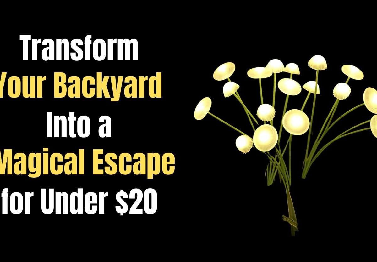 Add Instant Charm to Your Garden with These Whimsical Solar Lights