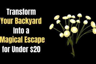 Add Instant Charm to Your Garden with These Whimsical Solar Lights