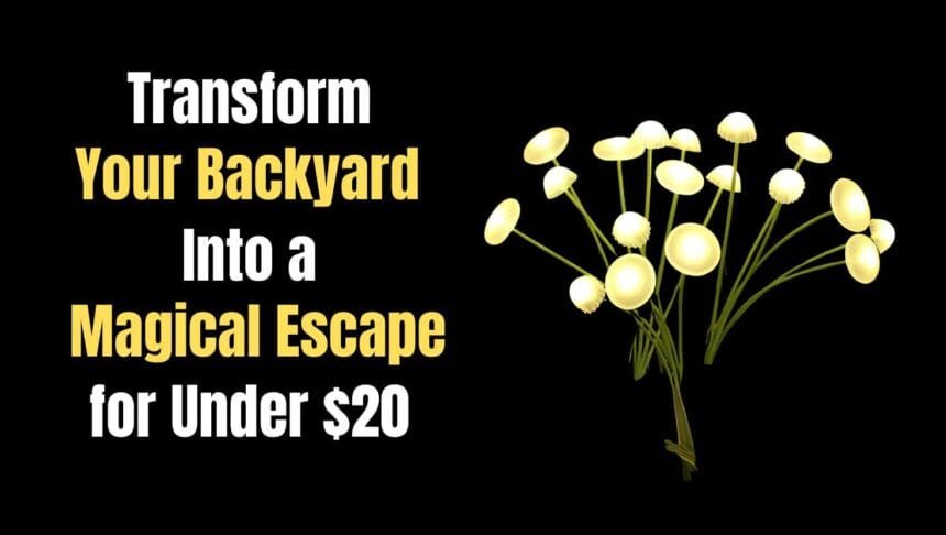 Add Instant Charm to Your Garden with These Whimsical Solar Lights