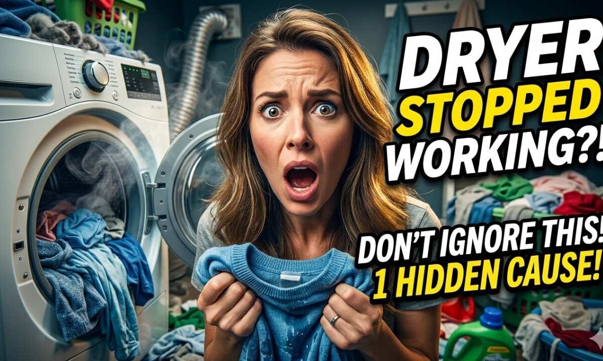 Clermont dryer repair My dryer stopped working and I had no idea why