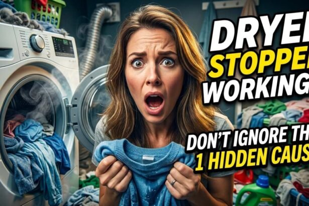 Clermont dryer repair My dryer stopped working and I had no idea why