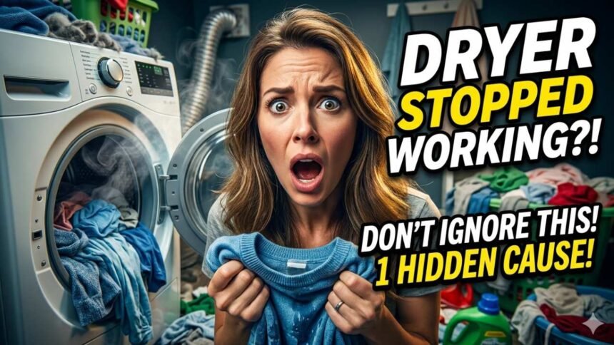 Clermont dryer repair My dryer stopped working and I had no idea why